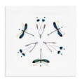 thumbnail image 1 of Stupell Industries Eclectic Simple Dragonfly Symmetry Canvas Art, 36 x 36, by Beth Adoette, 1 of 8