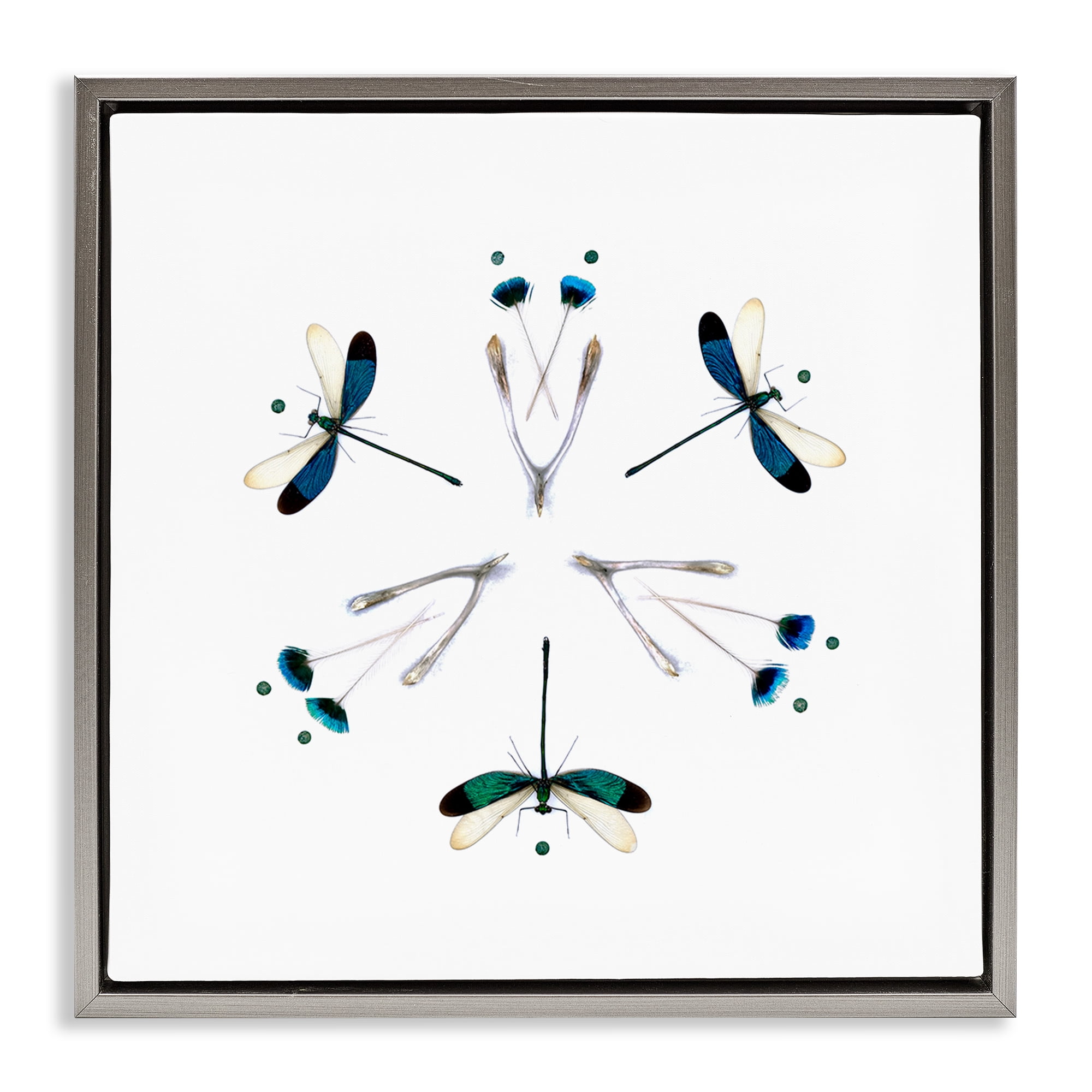 Stupell Industries Simple Dragonfly Symmetry Gray Framed Floater Canvas Wall Art, design by Beth Adoette