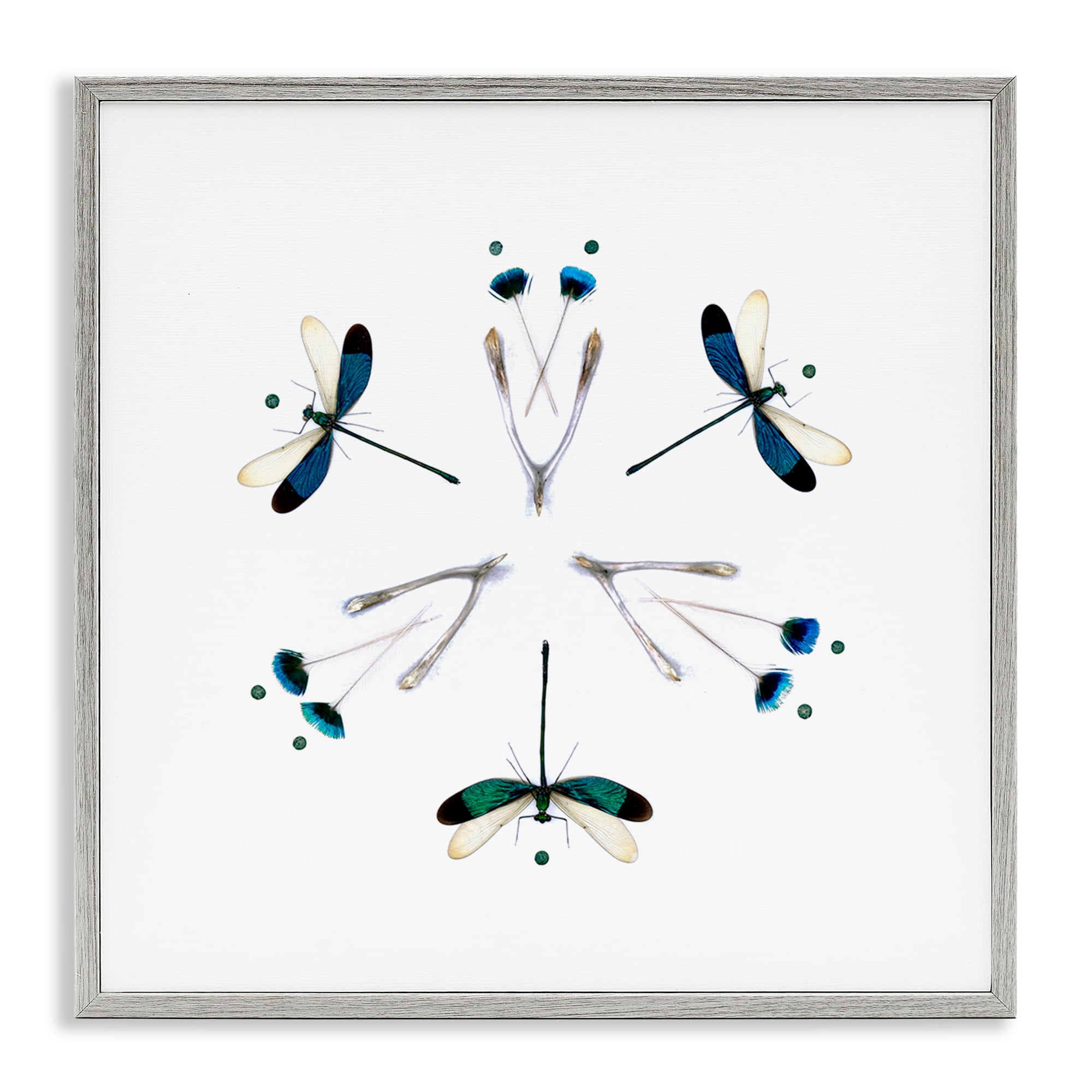 Stupell Industries Simple Dragonfly Symmetry Gray Framed Giclee Art, design by Beth Adoette