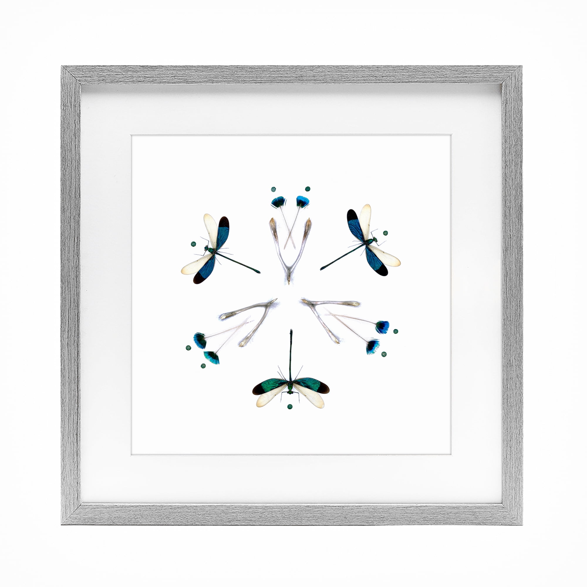Stupell Industries Simple Dragonfly Symmetry Gray Framed Print Under Glass, design by Beth Adoette