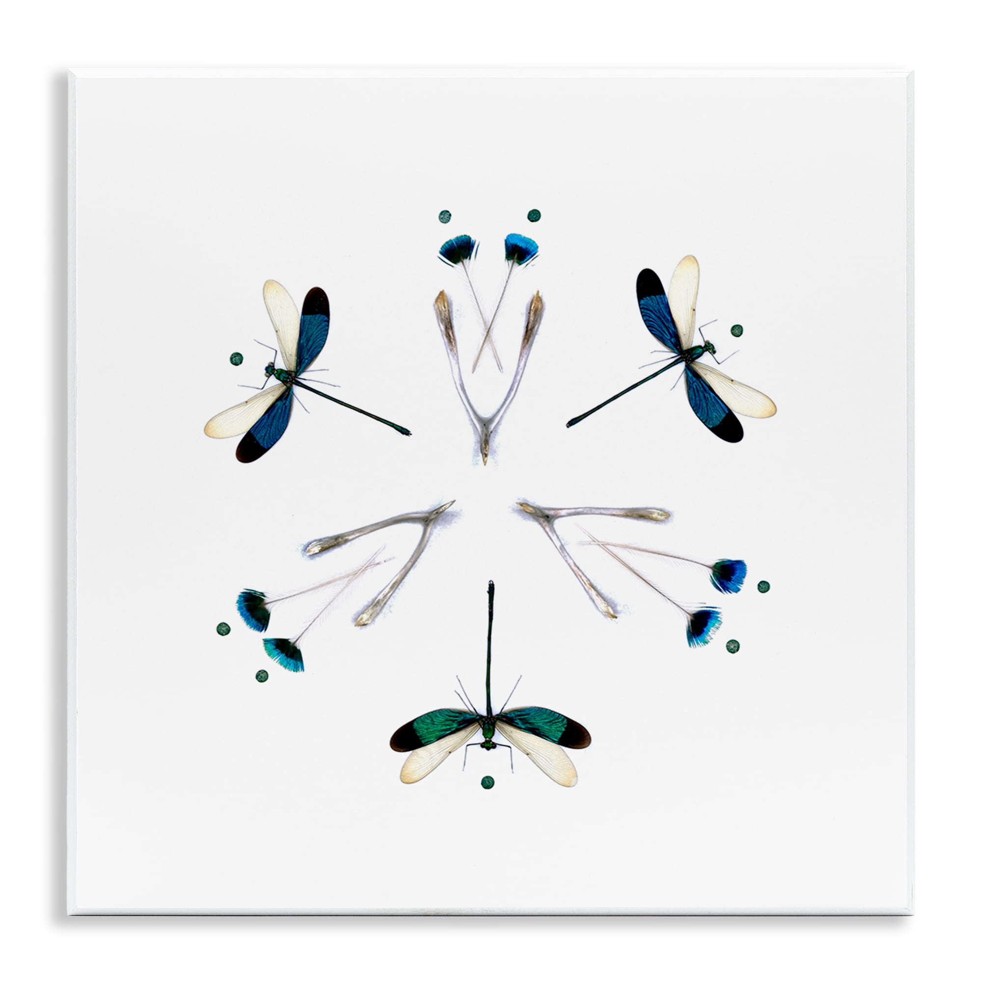 Stupell Industries Simple Dragonfly Symmetry Wall Plaque Art, design by Beth Adoette