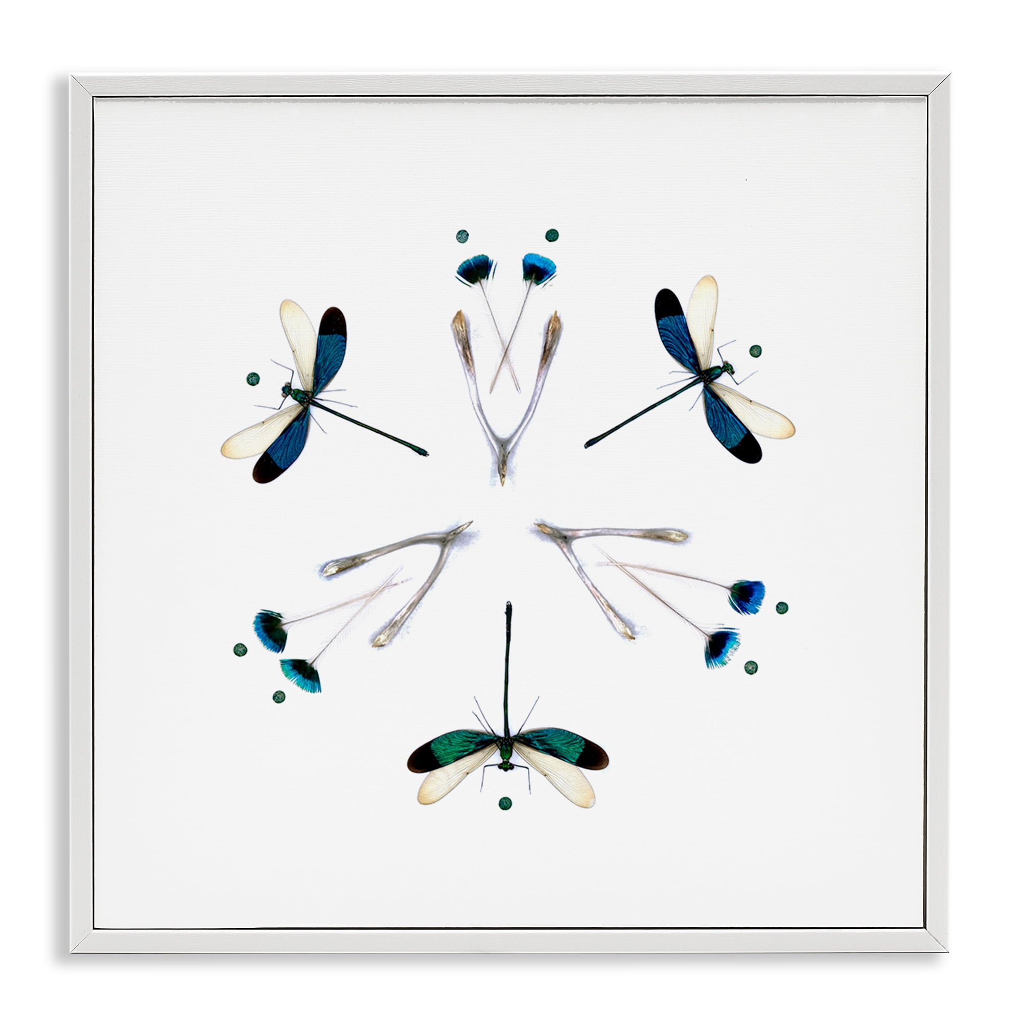 Stupell Industries Simple Dragonfly Symmetry White Framed Giclee Art, design by Beth Adoette