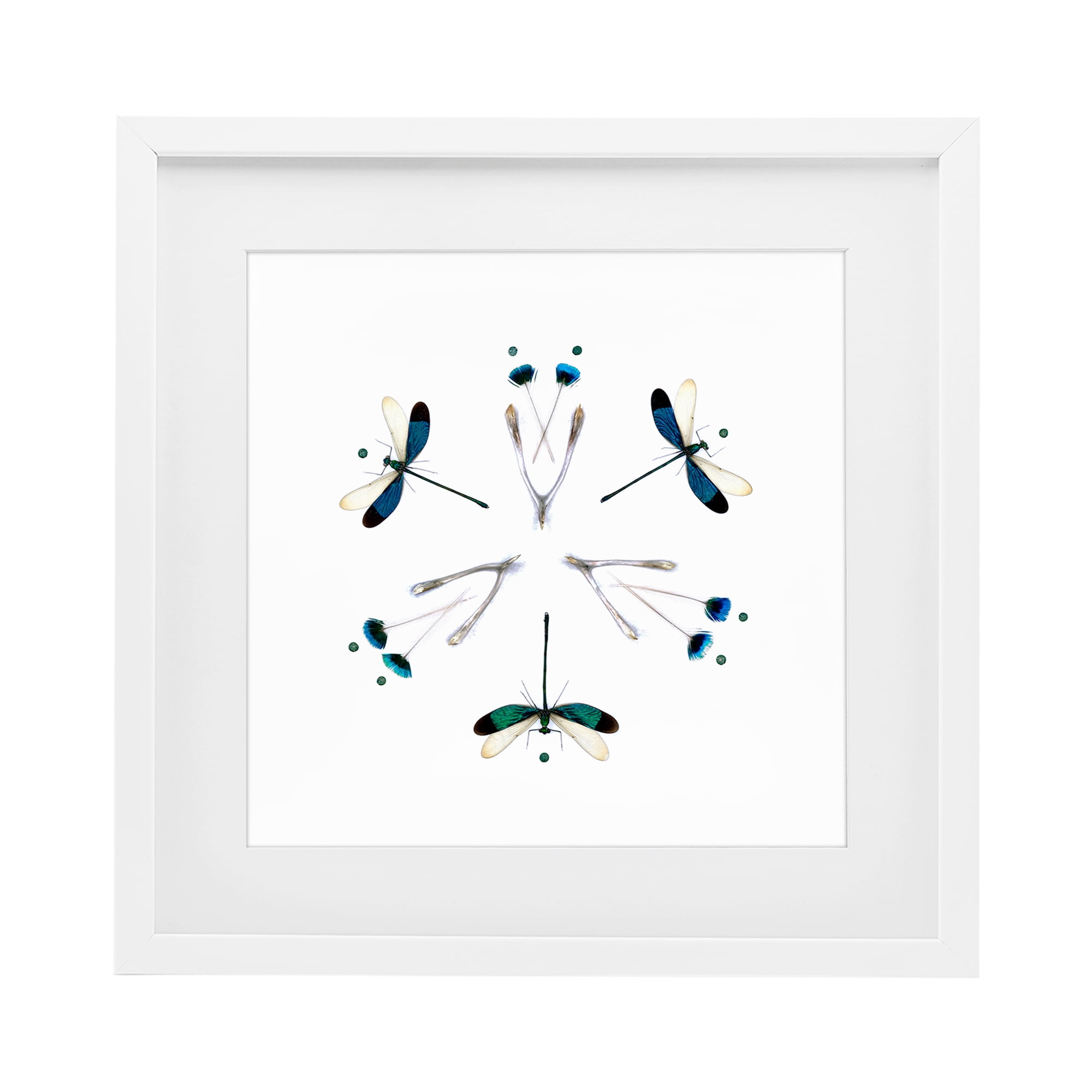 Stupell Industries Simple Dragonfly Symmetry White Framed Print Under Glass, design by Beth Adoette
