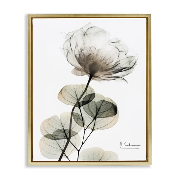 Stupell Industries Simple Elegant White Flower Floral Painting Gold Floater Framed Canvas Art Print Wall Art, 17 x 21