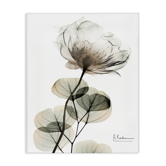 Stupell Industries Simple Elegant White Flower Floral Painting Wrapped Canvas Canvas Art Print Wall Art, 16 x 20