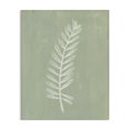 thumbnail image 1 of Stupell Industries Modern Simple Fern Impression Canvas Art, 36 x 48, by Patricia Pinto, 1 of 8