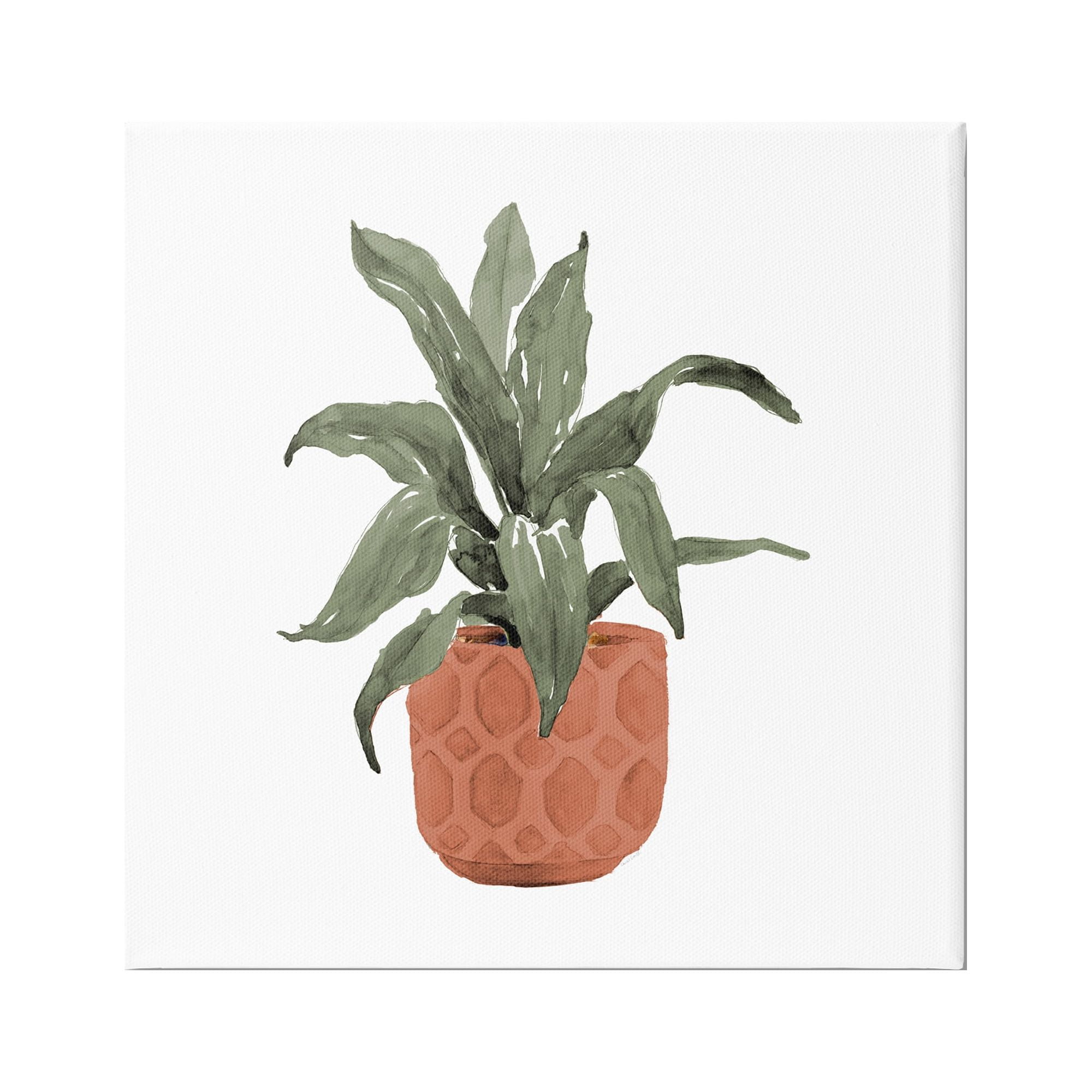 Stupell Industries Simple House Plant Green Leaves Terracotta Planter Painting , 36 x 36, Design by Lanie Loreth