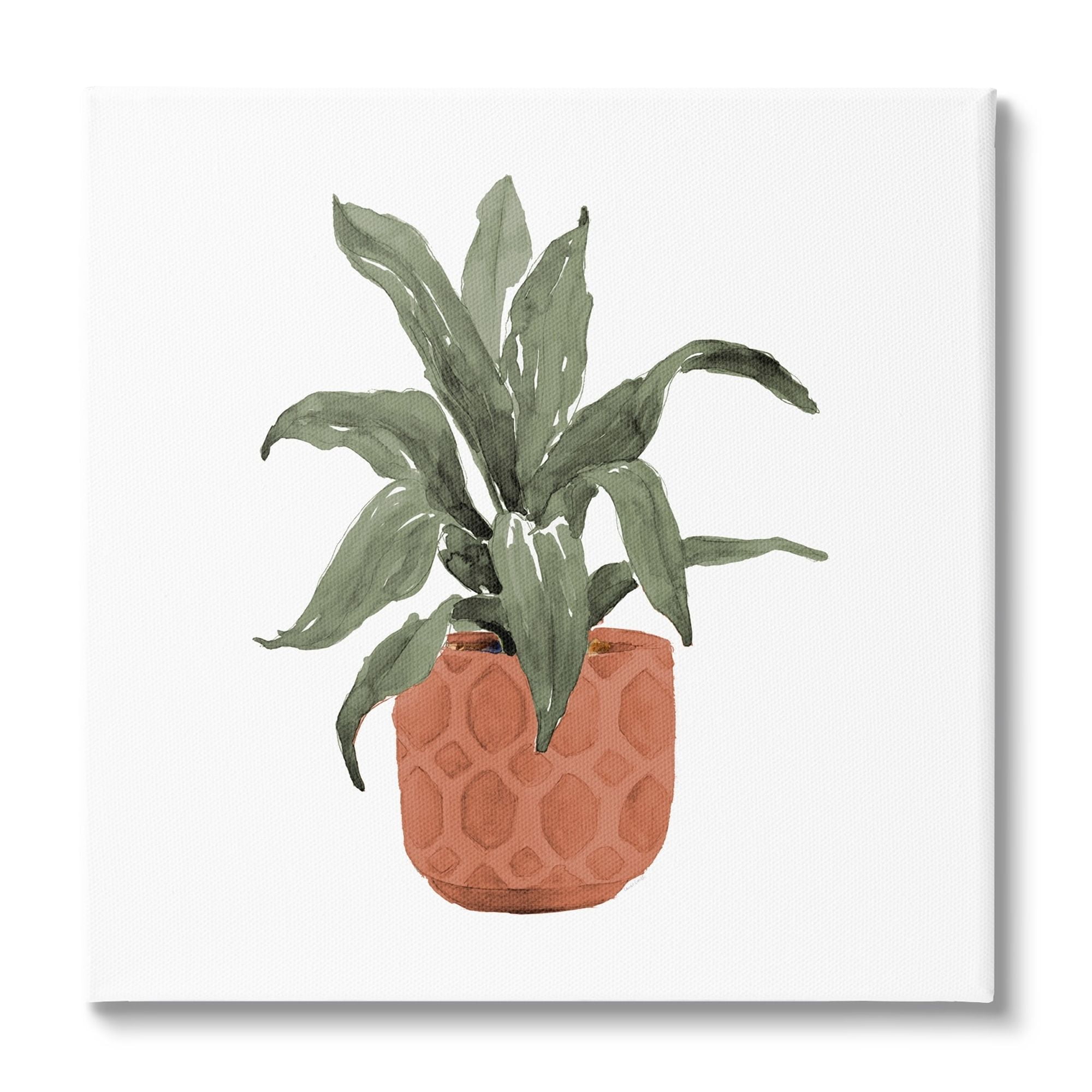 Green House Plant in Terracotta Planter Canvas Wall Art