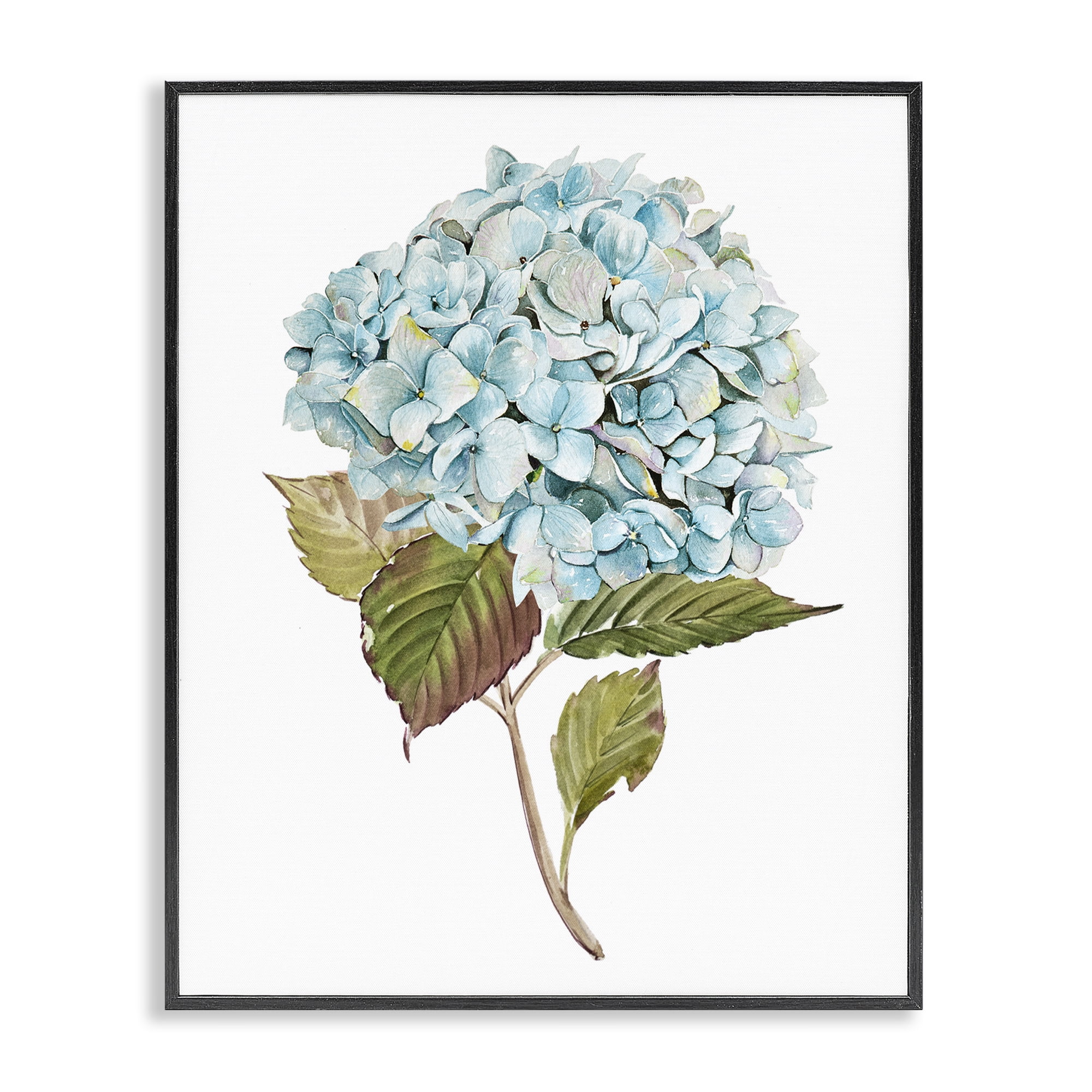 Stupell Industries Simple Hydrangea Bud Botanical & Floral Painting Black Framed Art Print Wall Art, 11 x 14
