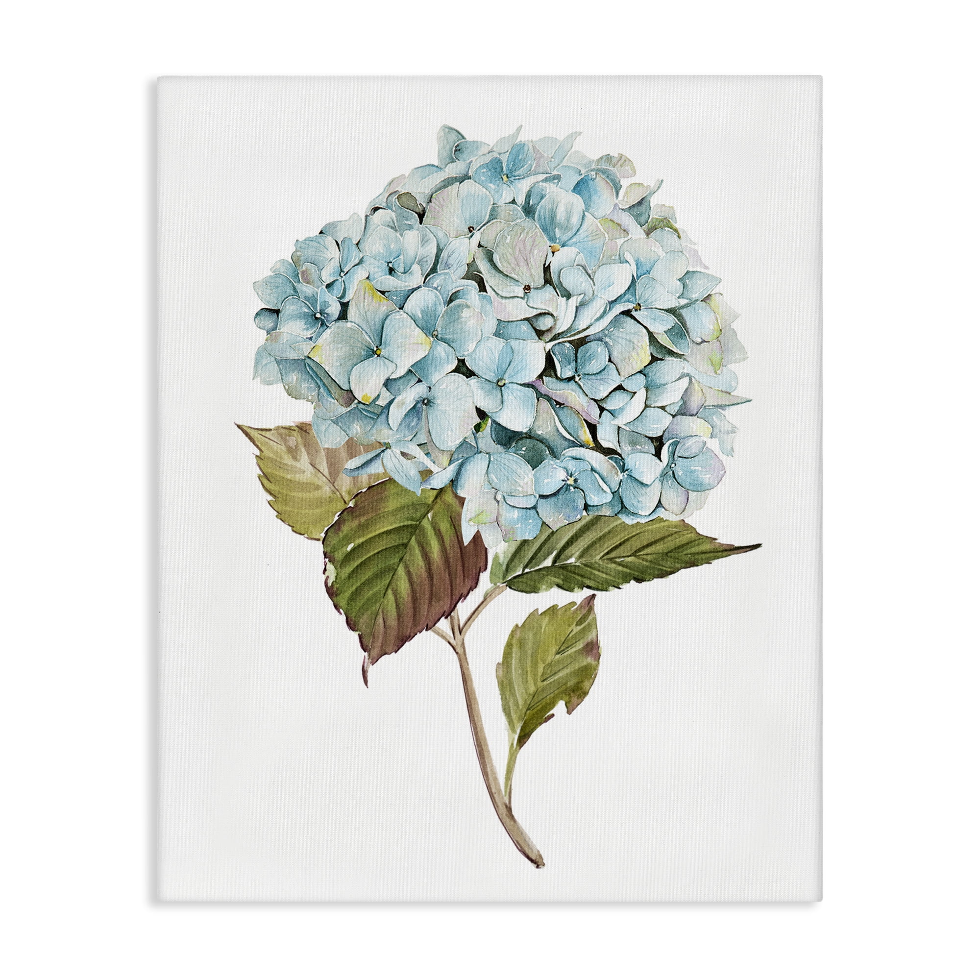 Stupell Industries Simple Hydrangea Bud Botanical & Floral Painting Gallery Wrapped Canvas Art Print Wall Art, 30 x 40