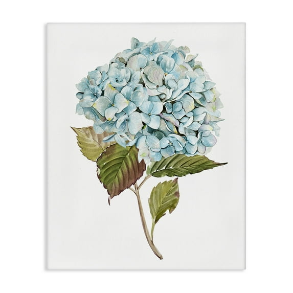Stupell Industries Simple Hydrangea Bud Botanical & Floral Painting Gallery Wrapped Canvas Art Print Wall Art, 36 x 48