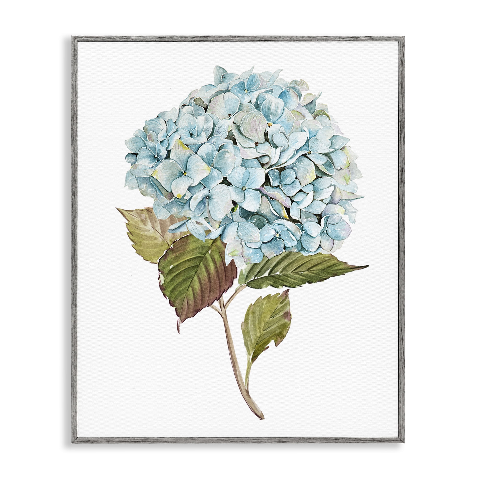Stupell Industries Simple Hydrangea Bud Botanical & Floral Painting Gray Framed Art Print Wall Art, 11 x 14