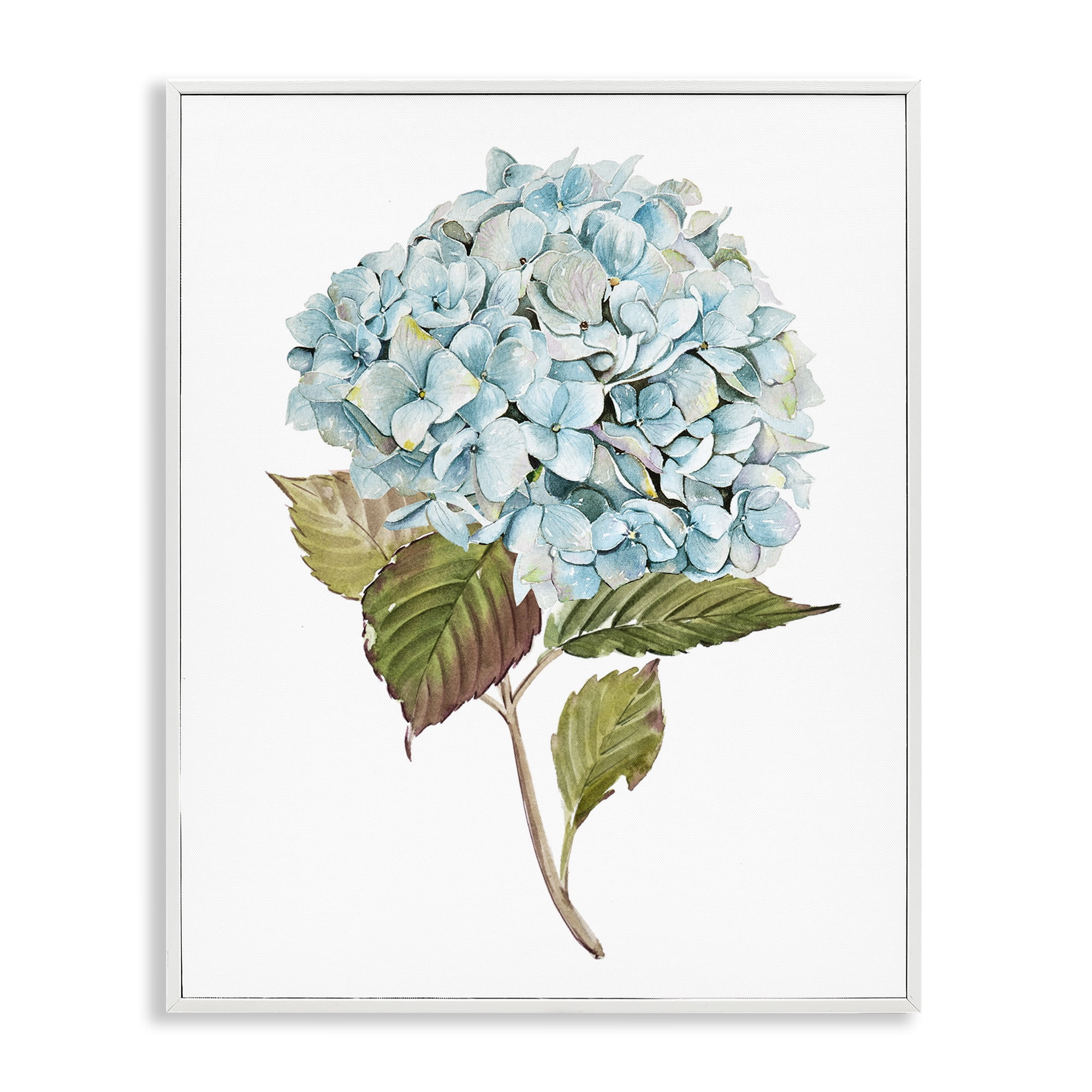 Stupell Industries Simple Hydrangea Bud Botanical & Floral Painting White Framed Art Print Wall Art, 24 x 30