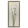 thumbnail image 1 of Stupell Industries Traditional Simple Iris on Beige Brown Floating Frame Canvas Art, 11 x 25, by Sally Swatland, 1 of 8
