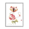 thumbnail image 1 of Stupell Industries Simple Pink Orange Floral Petal Blossoms Illustration Paintings Gray Framed Art Print Wall Art, 16x20, by Nan Rae, 1 of 5