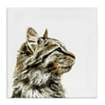 thumbnail image 1 of Stupell Industries Simple Tabby Cat Gaze Family Pet Portrait Graphic Art Gallery-Wrapped Canvas Print Wall Art, 24x24, by Victoria Barnes, 1 of 5