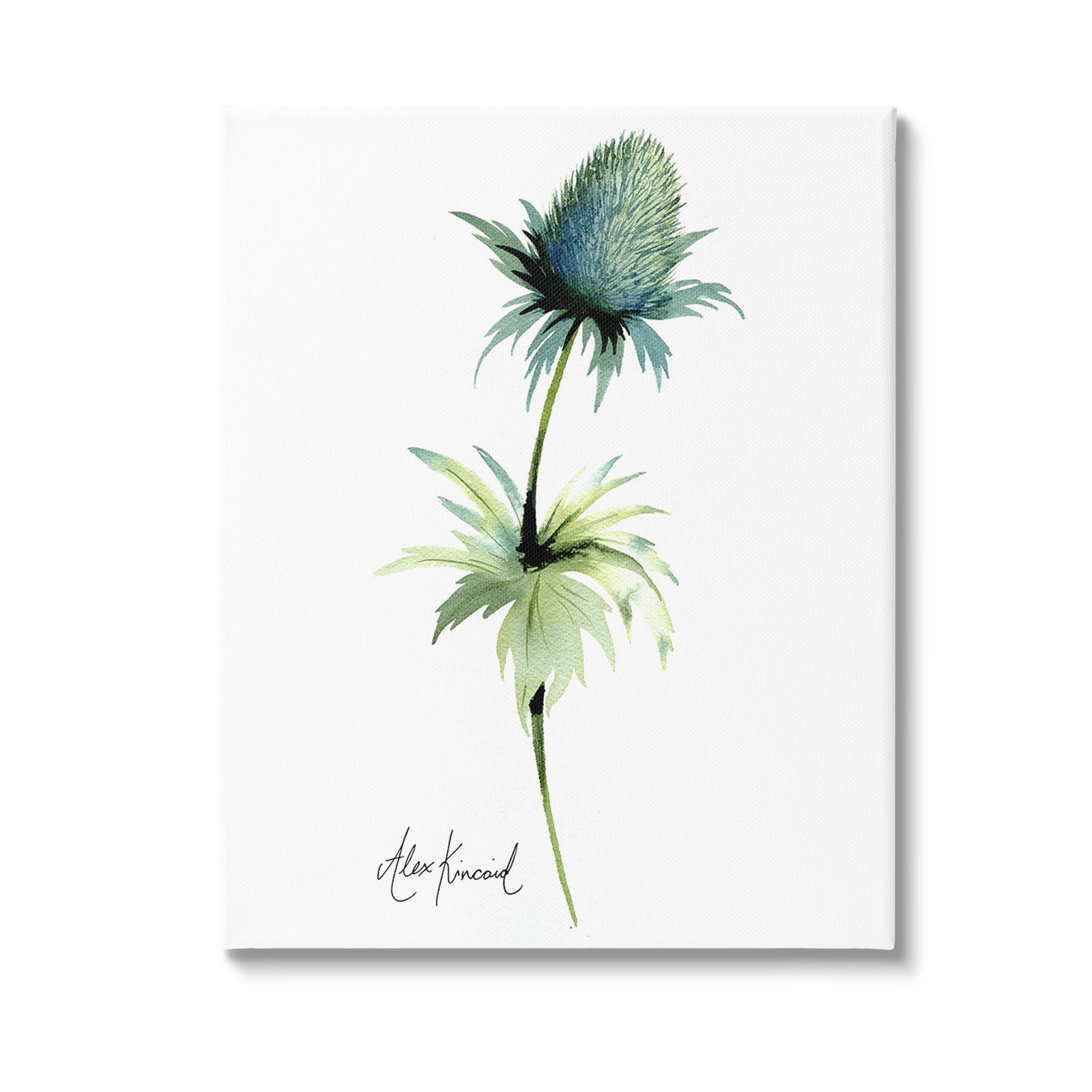 Stupell Industries Simple Thistle Plant Botanical & Floral Painting Gallery Wrapped Canvas Art Print Wall Art, 36 x 48