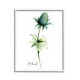 thumbnail image 1 of Stupell Industries Simple Thistle Plant Botanical & Floral Painting White Framed Art Print Wall Art, 11 x 14, 1 of 9