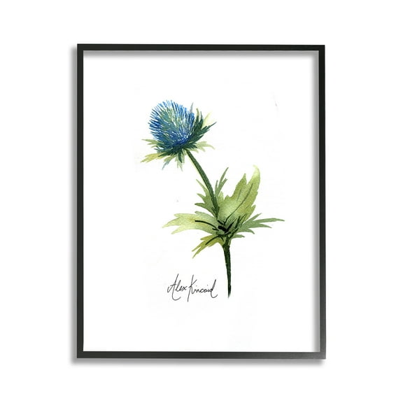 Stupell Industries Simple Thistle Watercolor Botanical & Floral Painting Black Framed Art Print Wall Art, 11 x 14