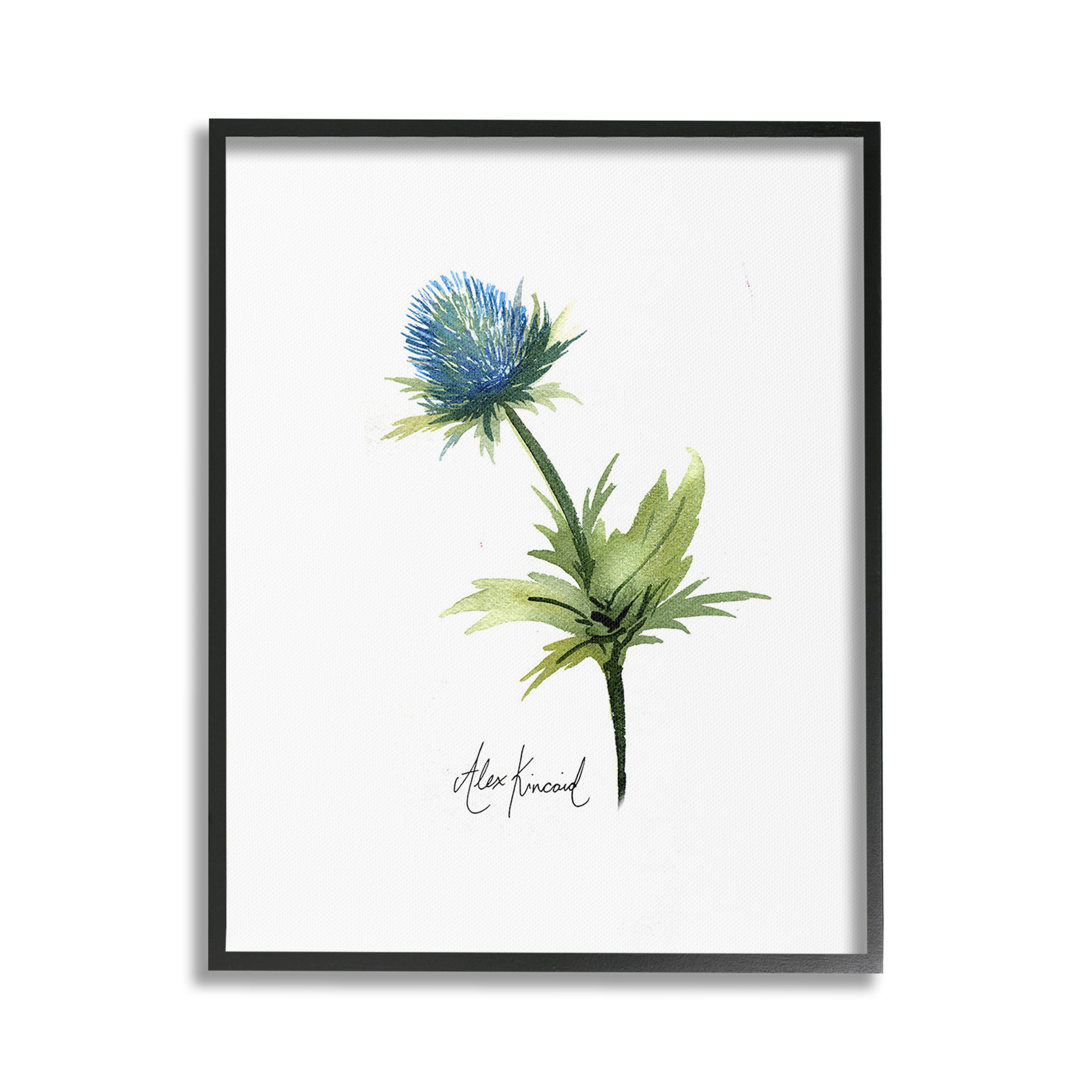 Stupell Industries Simple Thistle Watercolor Botanical & Floral Painting Black Framed Art Print Wall Art, 24 x 30
