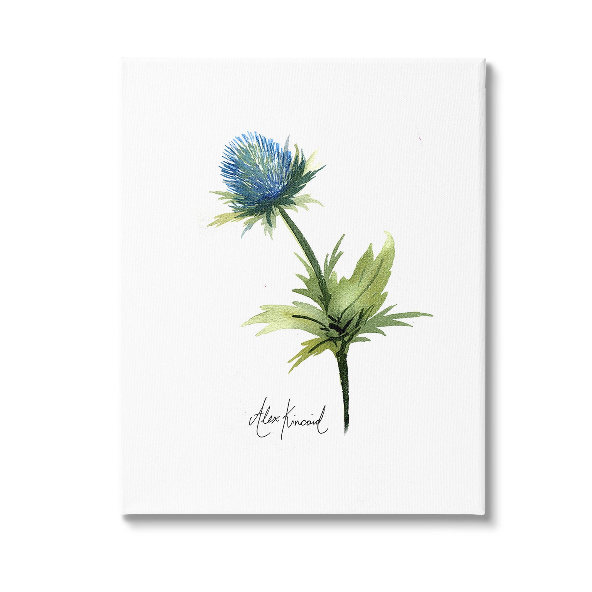 Stupell Industries Simple Thistle Watercolor Botanical & Floral Painting Gallery Wrapped Canvas Art Print Wall Art, 30 x 40