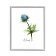 thumbnail image 1 of Stupell Industries Simple Thistle Watercolor Botanical & Floral Painting Gray Framed Art Print Wall Art, 11 x 14, 1 of 9