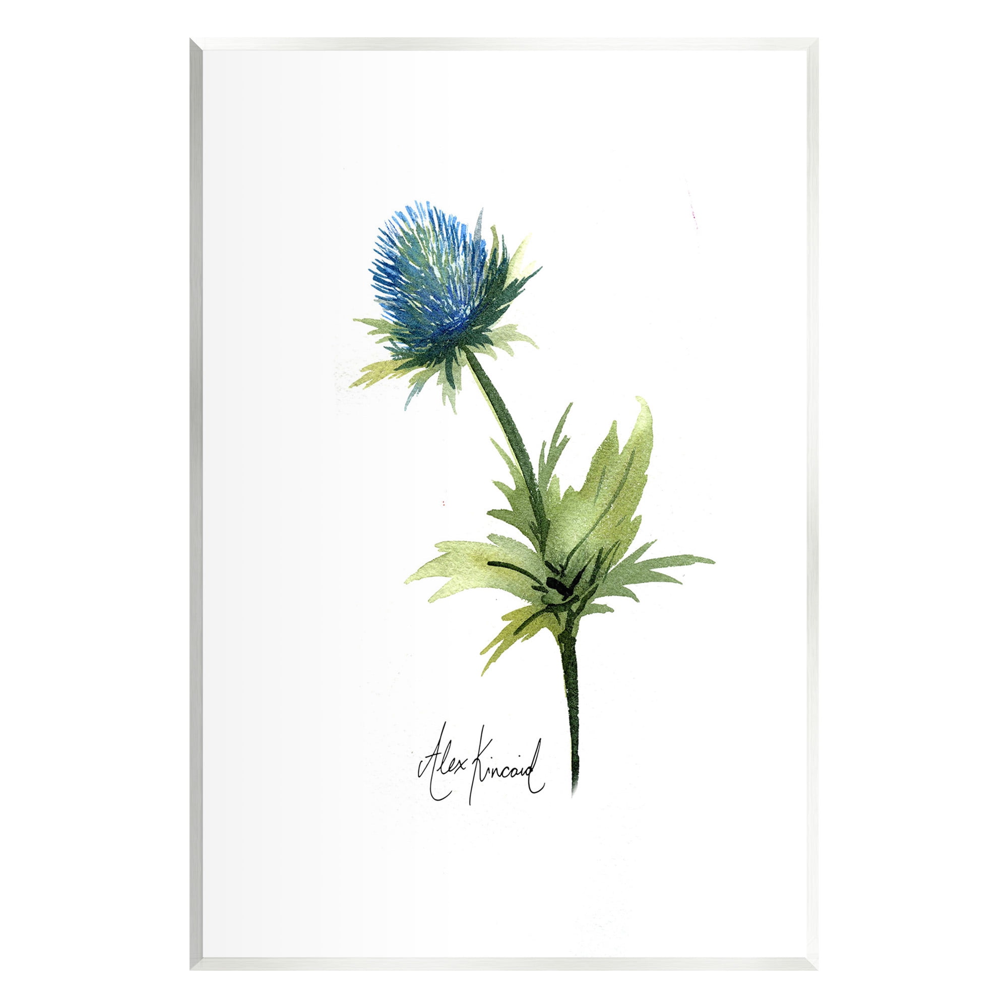 Stupell Industries Simple Thistle Watercolor Botanical & Floral Painting Unframed Art Print Wall Art, 13 x 19