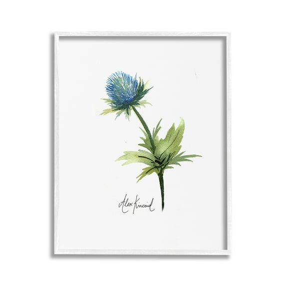 Stupell Industries Simple Thistle Watercolor Botanical & Floral Painting White Framed Art Print Wall Art, 16 x 20