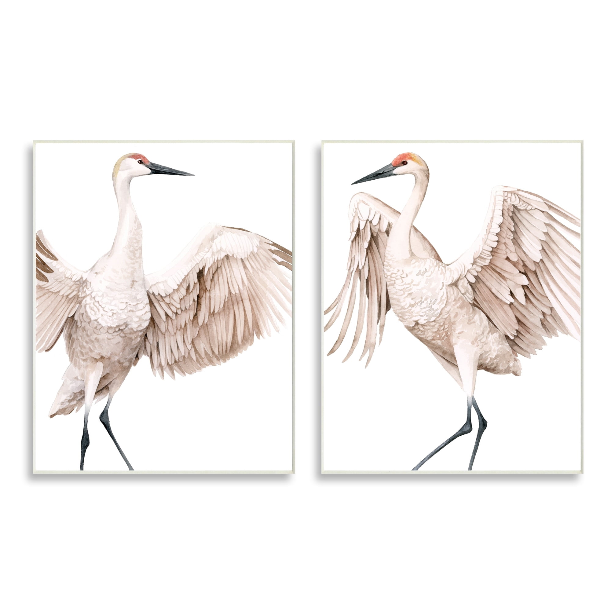 Stupell Industries Simple White Crane Birds Standing Open Wings Illustration, 10 x 15, Design by Grace Popp