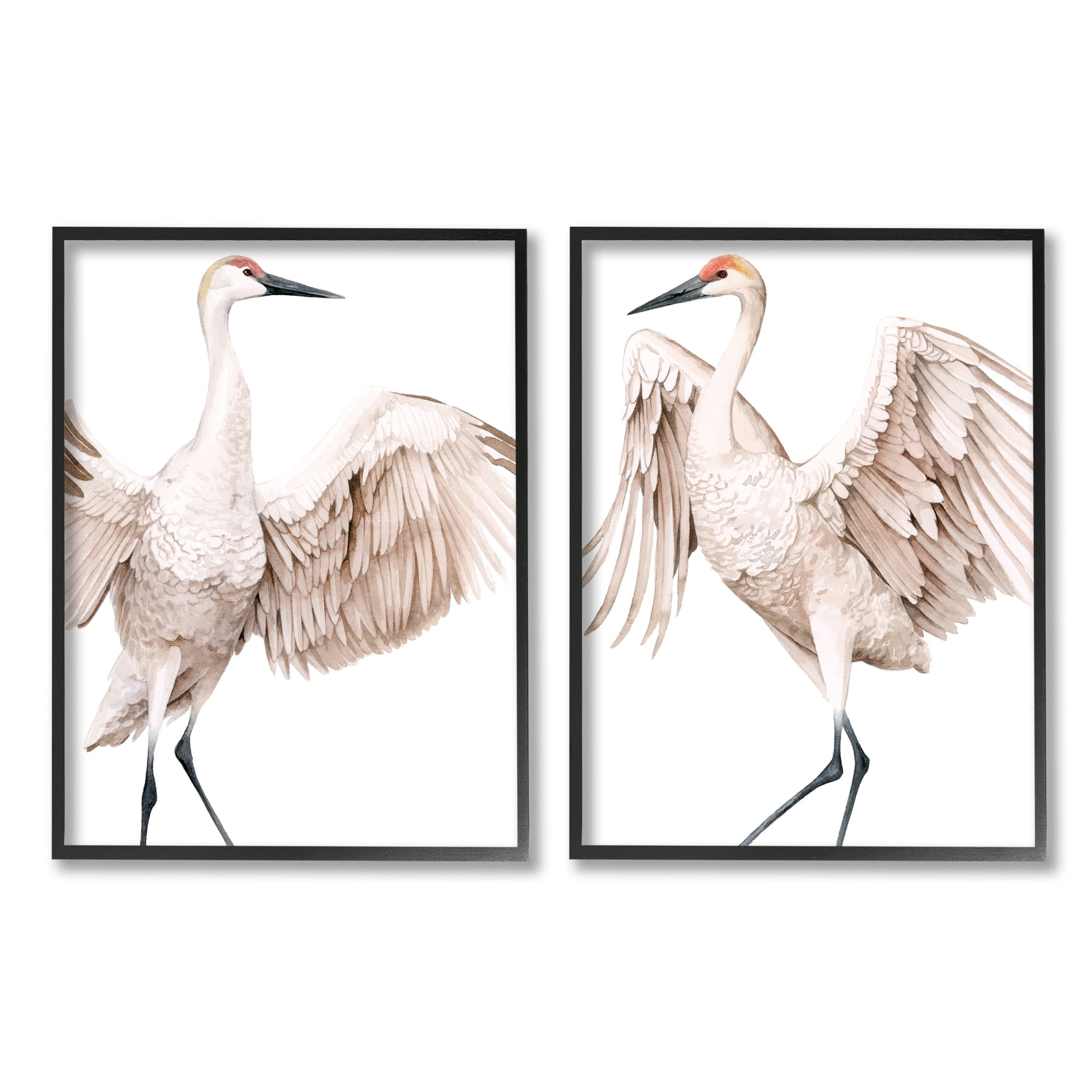 Stupell Industries Simple White Crane Birds Standing Open Wings Illustration, 11 x 14, Design by Grace Popp