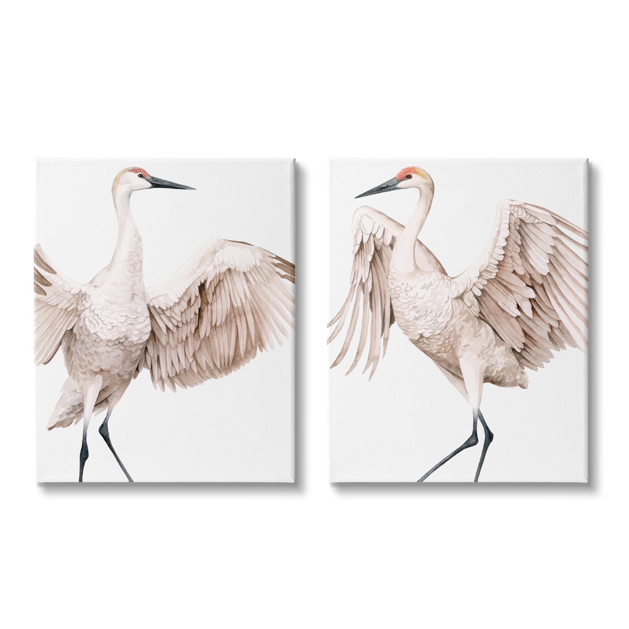 Stupell Industries Simple White Crane Birds Standing Open Wings Illustration, 16 x 20, Design by Grace Popp