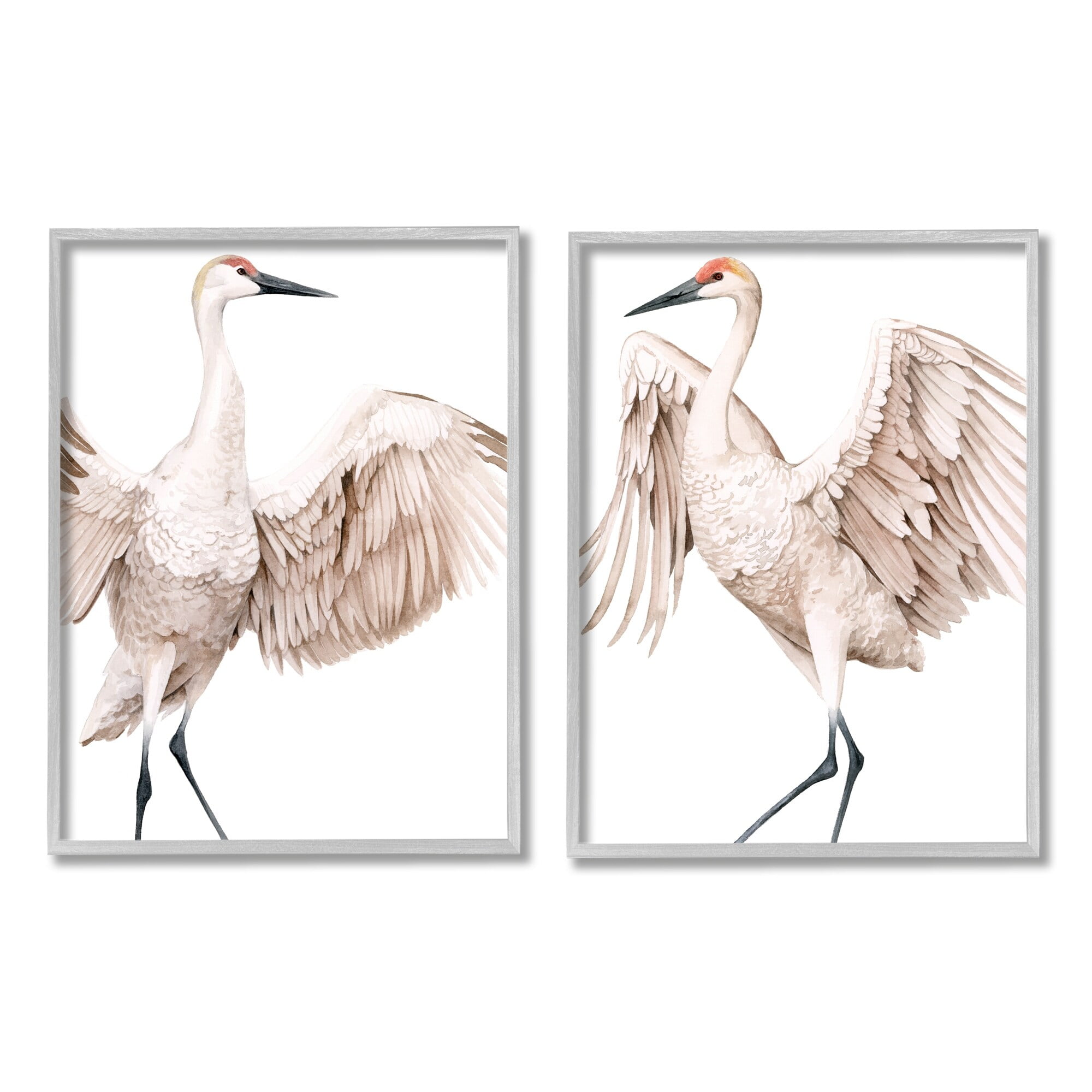 Stupell Industries Simple White Crane Birds Standing Open Wings Illustration, 24 x 30, Design by Grace Popp