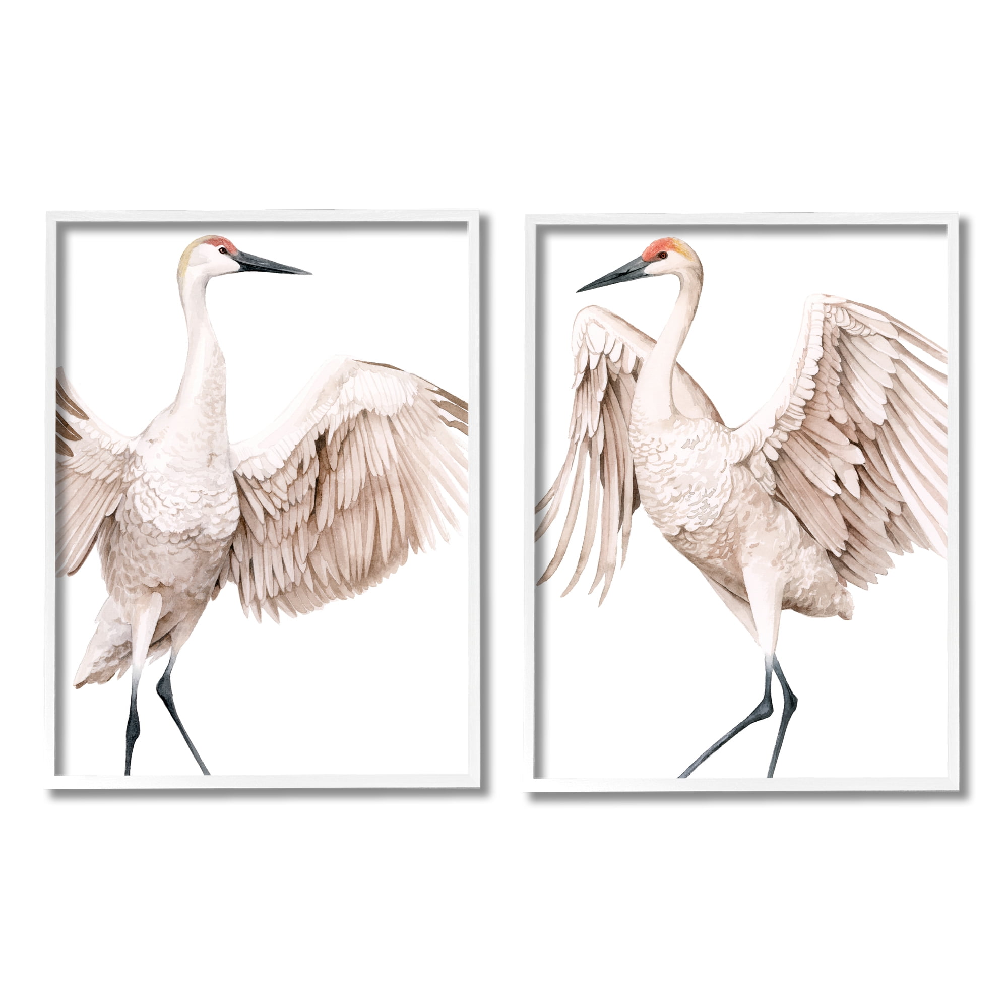 Stupell Industries Simple White Crane Birds Standing Open Wings Illustration, 24 x 30, Design by Grace Popp