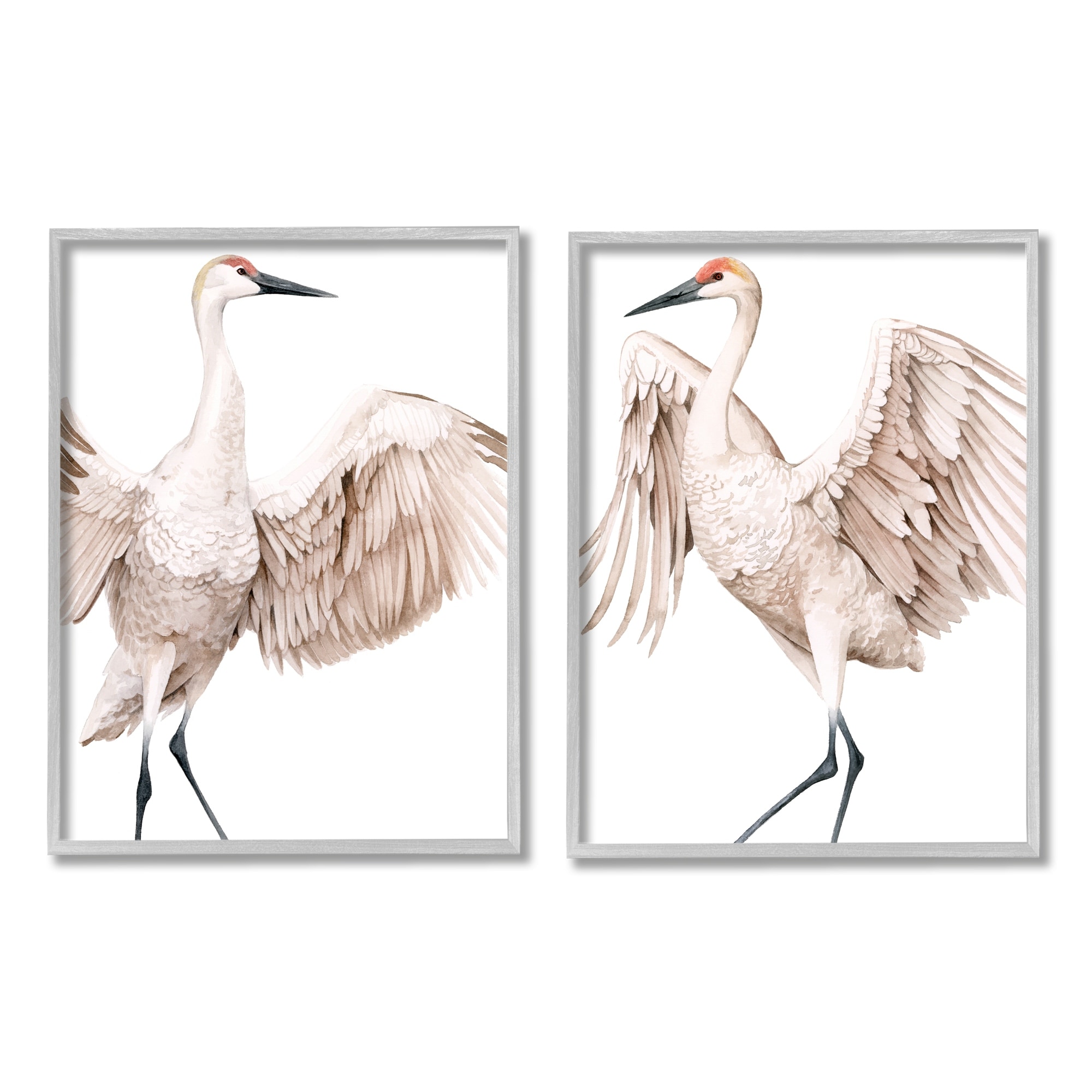 Stupell Industries Simple White Crane Birds Standing Open Wings Illustration Paintings Gray Framed Art Print Wall Art Set of 2, 16x20, by Grace Popp