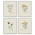 thumbnail image 1 of Stupell Industries Simple Wildflower Studies Plants & Flowers Painting Gray Framed Art Print Wall Art, 11 x 14, Set of 4, 1 of 2