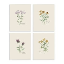 Stupell Industries Simple Wildflower Studies Plants & Flowers Painting Unframed Art Print Wall Art, 11 x 14, Set of 4
