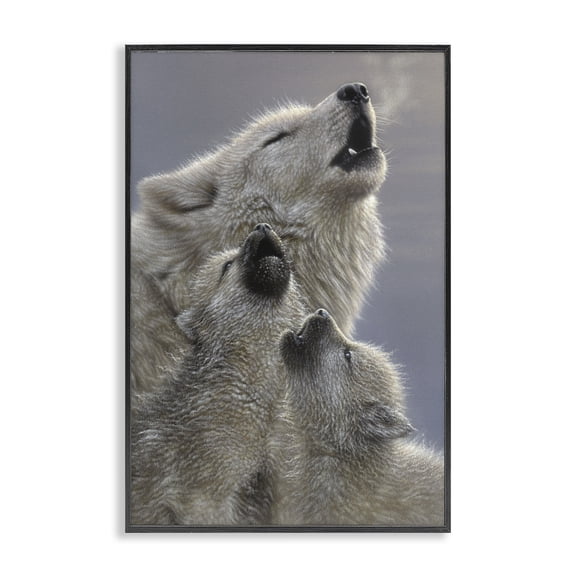Stupell Industries Singing Lessons White Wolves Black Framed Giclee Art design by Collin Bogle, 30 x 20