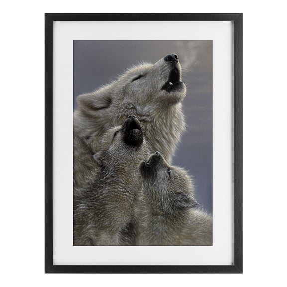 Stupell Industries Singing Lessons White Wolves Black Framed Print Under Glass design by Collin Bogle, 20 x 14