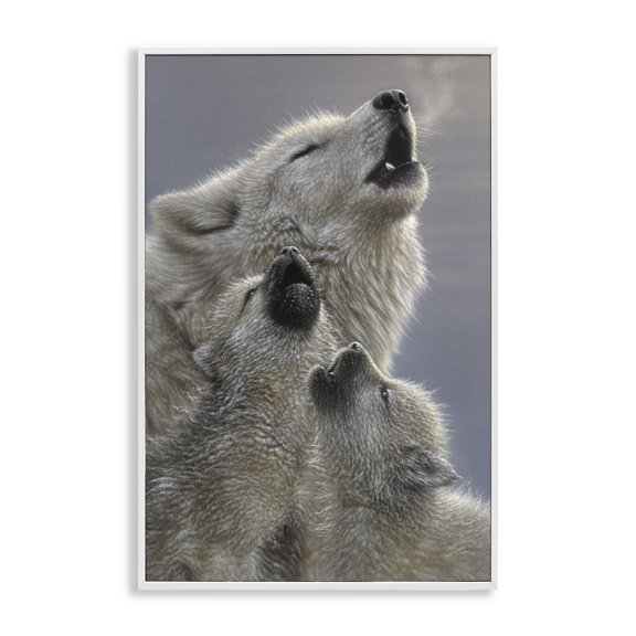 Stupell Industries Singing Lessons White Wolves White Framed Giclee Art design by Collin Bogle, 24 x 16