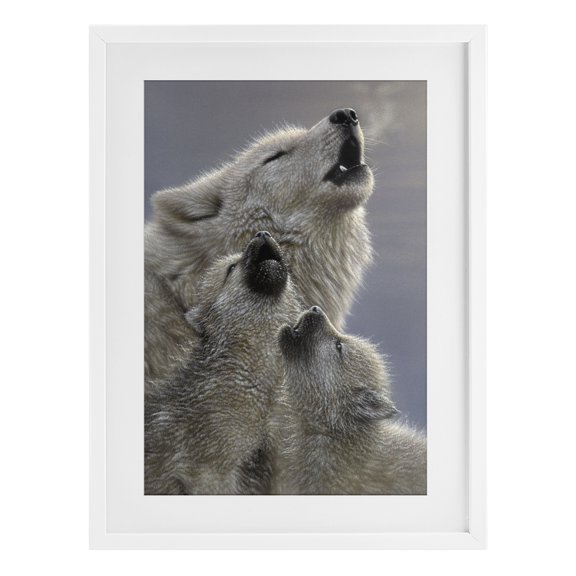 Stupell Industries Singing Lessons White Wolves White Framed Print Under Glass design by Collin Bogle, 23 x 17