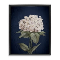 Stupell Industries Single Hydrangea Bloom Botanical & Floral Painting Black Floater Framed Canvas Art Print Wall Art, 17 x 21