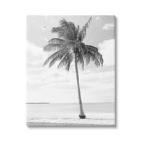 Stupell Industries Single Palm Tree Monochrome Tropical Beach Plant Photograph Gallery Wrapped Canvas Print Wall Art, Design by Graffitee Studios