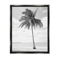 thumbnail image 1 of Stupell Industries Single Palm Tree Monochrome Tropical Beach Plant Photograph Jet Black Floating Framed Canvas Print Wall Art, Design by Graffitee Studios, 1 of 5