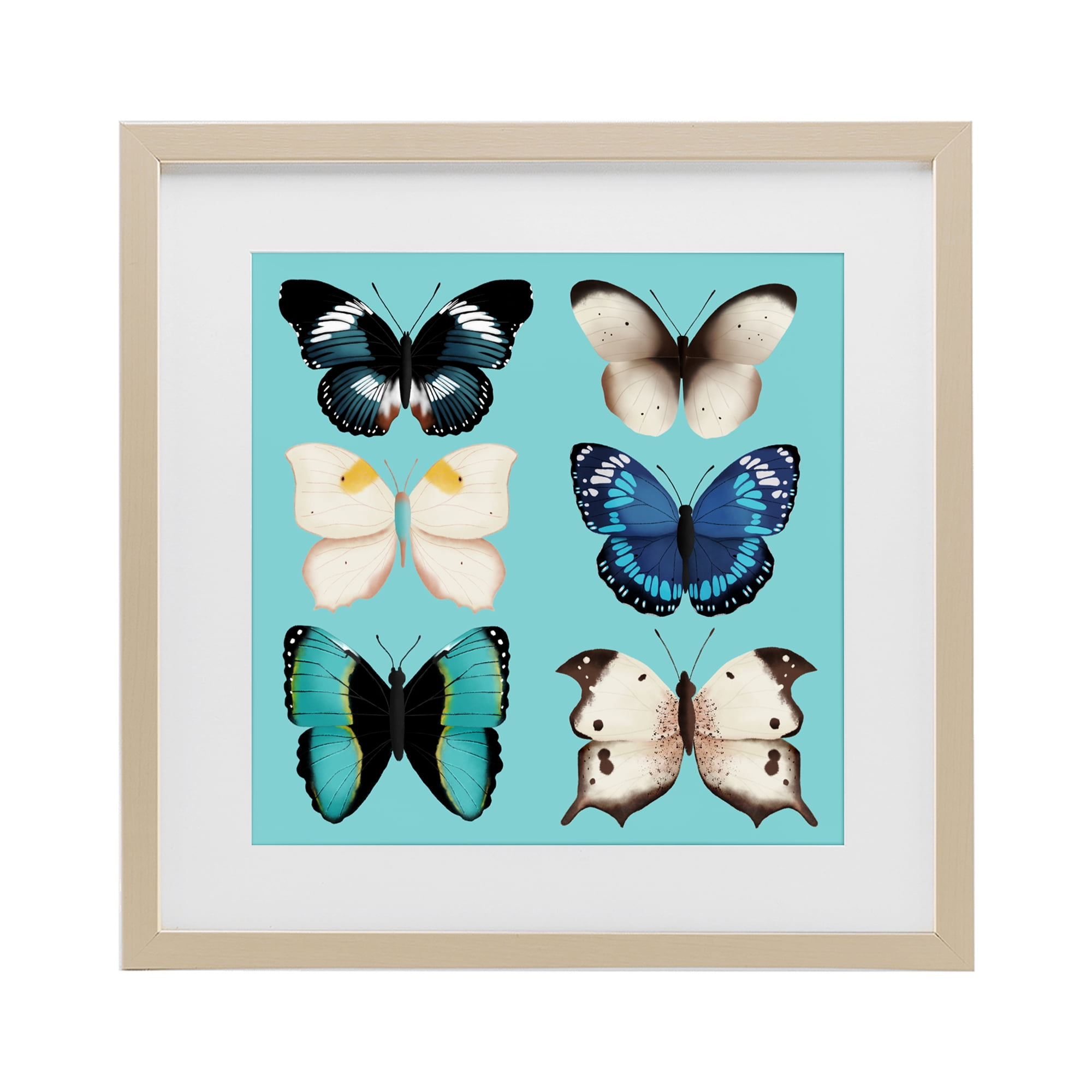 Stupell Industries Six Diverse Butterflies on Turquoise Birch Framed Print Under Glass, design by Metka Hiti