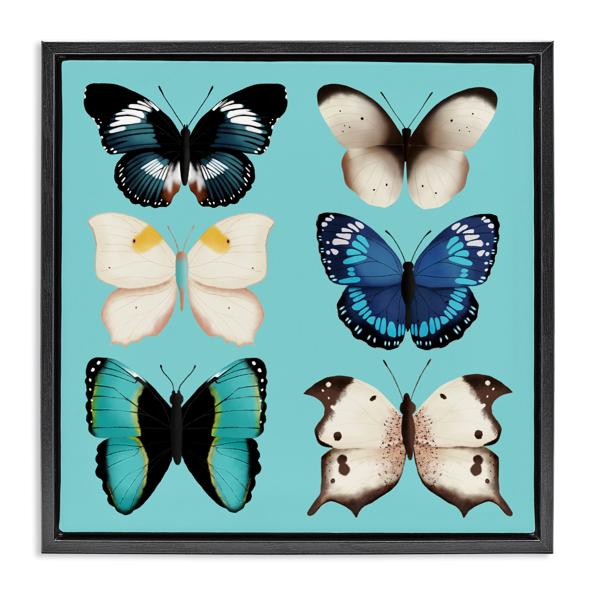 Stupell Industries Six Diverse Butterflies on Turquoise Black Framed Floater Canvas Wall Art, design by Metka Hiti