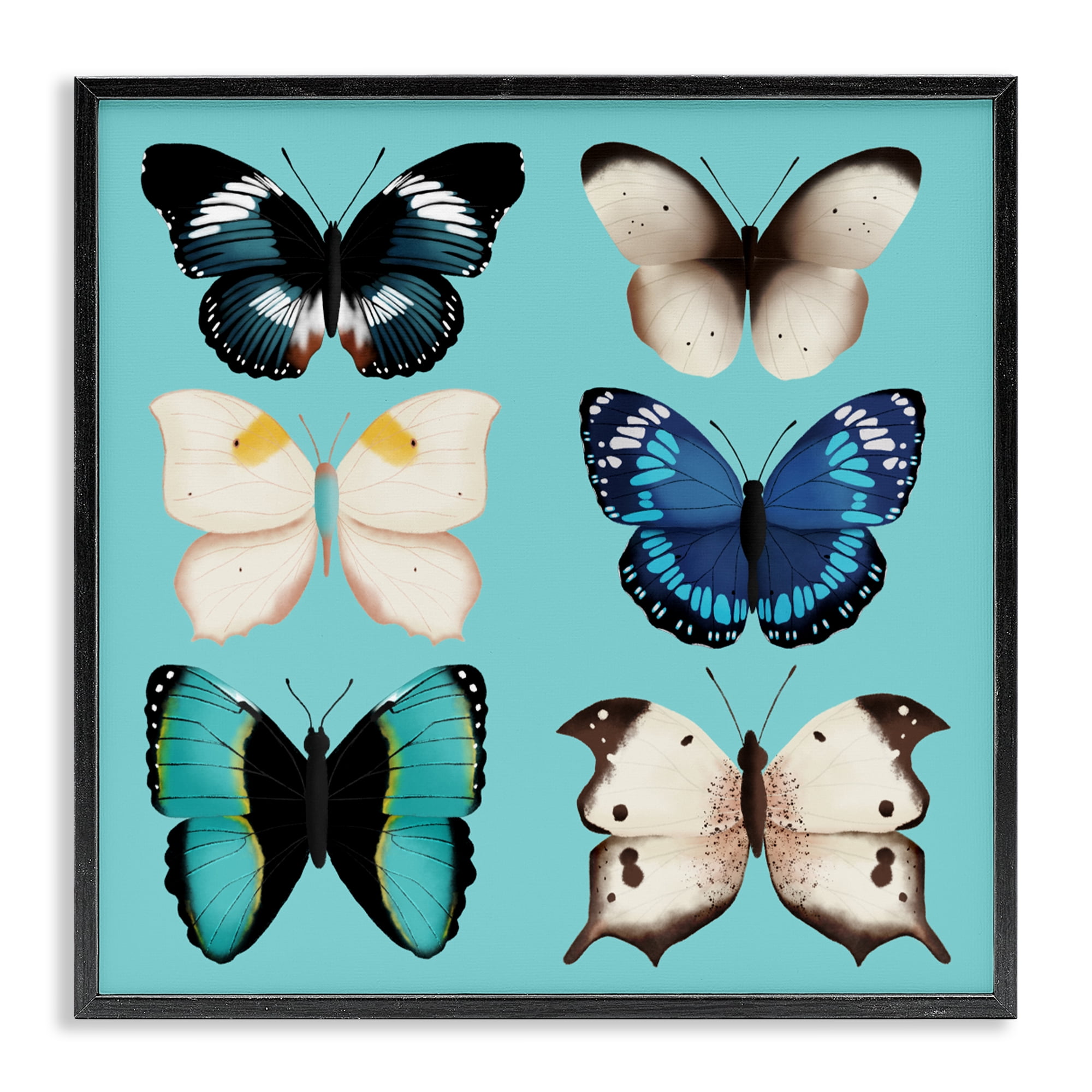 Stupell Industries Six Diverse Butterflies on Turquoise Black Framed Giclee Art, design by Metka Hiti