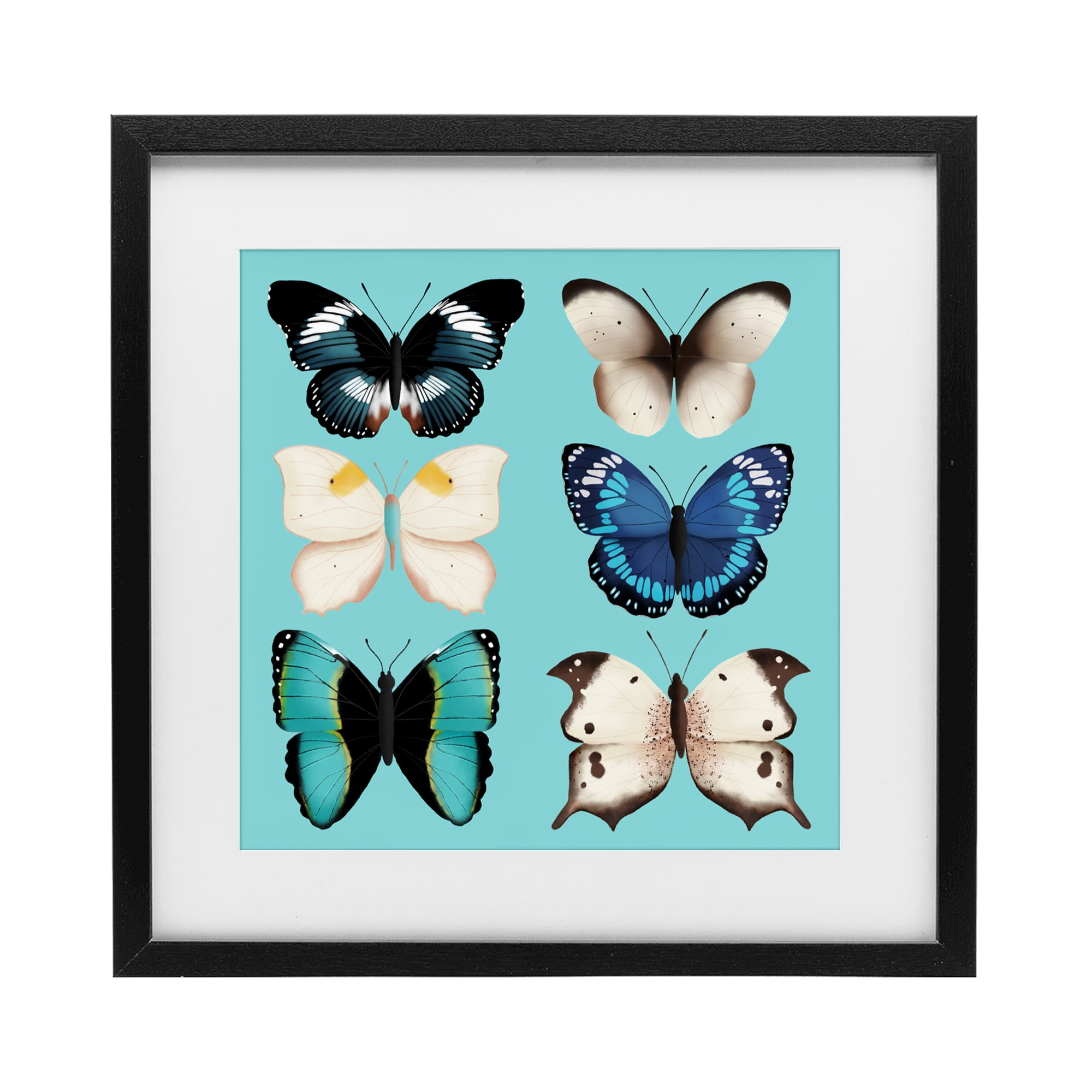 Stupell Industries Six Diverse Butterflies on Turquoise Black Framed Print Under Glass, design by Metka Hiti
