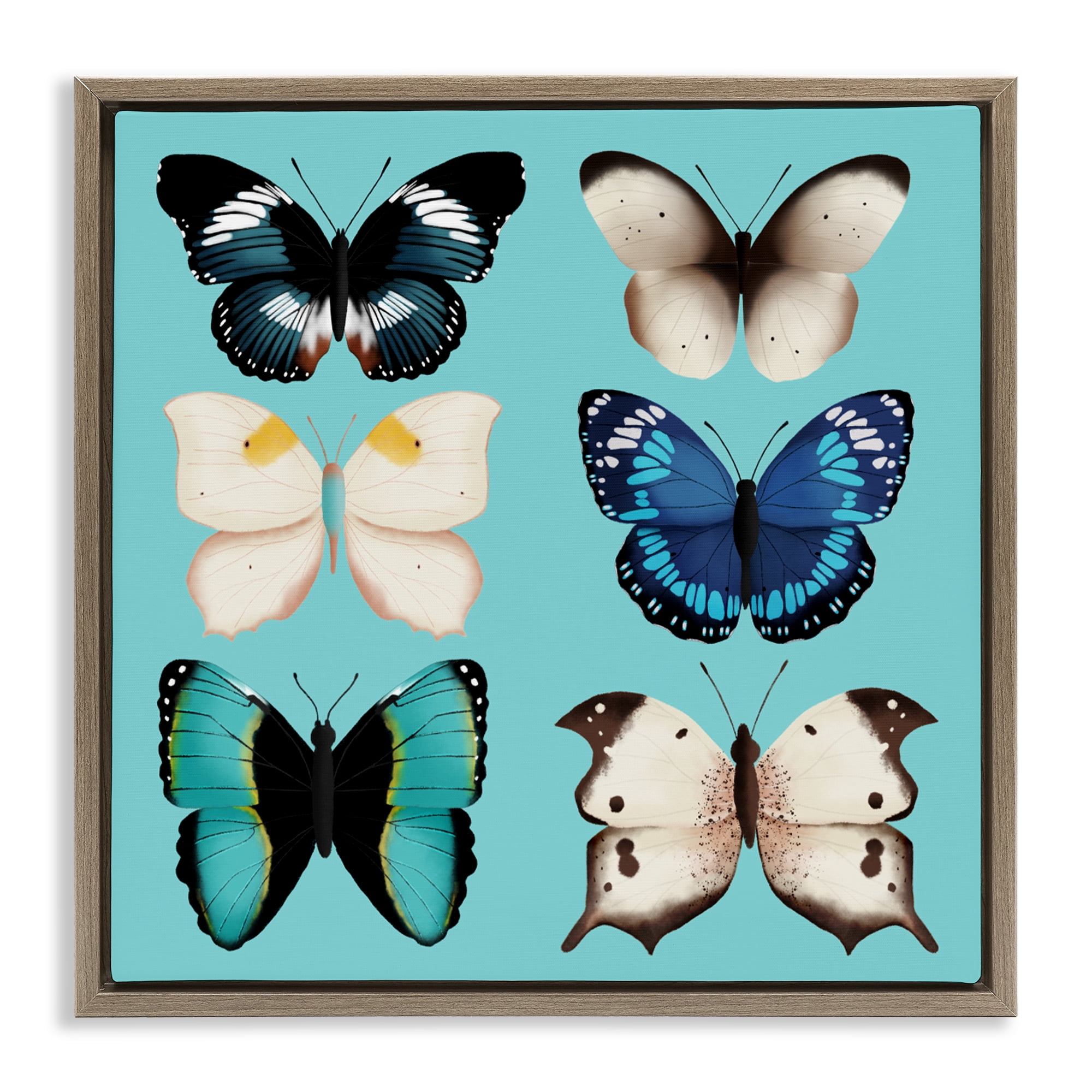 Stupell Industries Six Diverse Butterflies on Turquoise Brown Framed Floater Canvas Wall Art, design by Metka Hiti