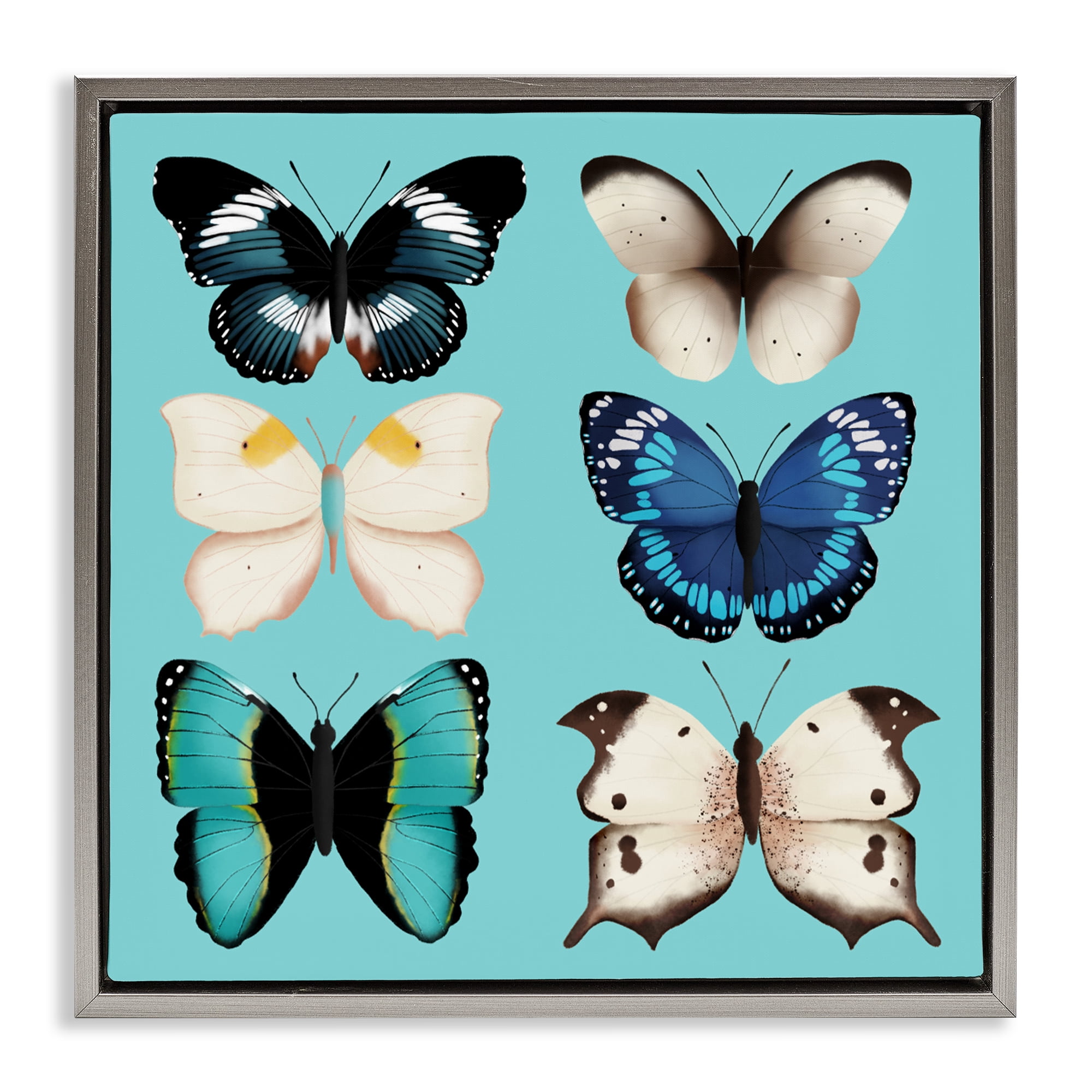 Stupell Industries Six Diverse Butterflies on Turquoise Gray Framed Floater Canvas Wall Art, design by Metka Hiti