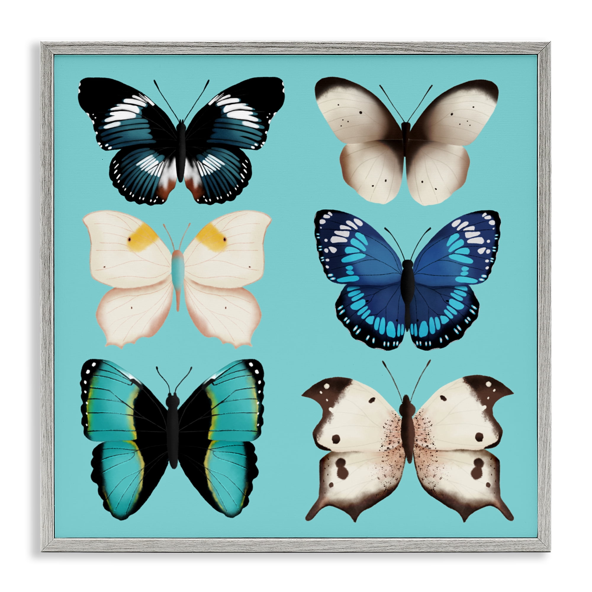 Stupell Industries Six Diverse Butterflies on Turquoise Gray Framed Giclee Art, design by Metka Hiti